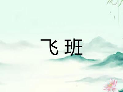 飞班
