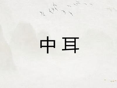 中耳