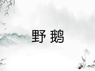 野鹅