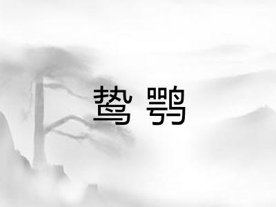 鸷鹗