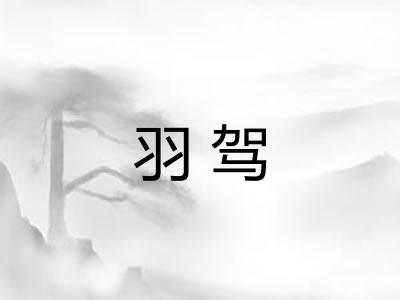 羽驾