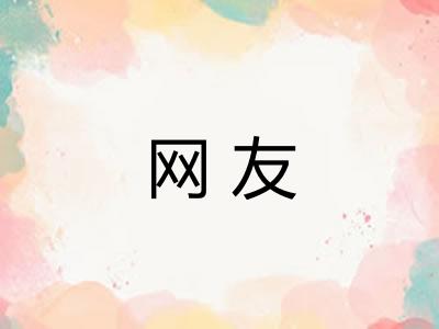 网友