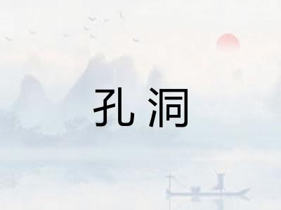 孔洞