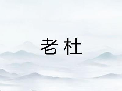 老杜