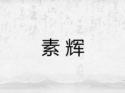素辉