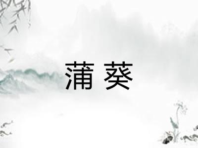 蒲葵