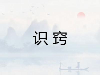 识窍