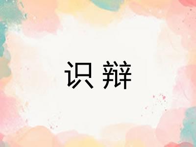 识辩