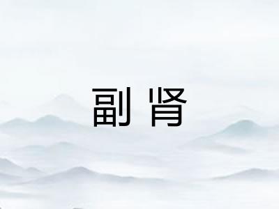 副肾