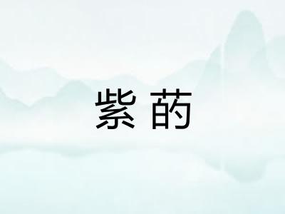 紫菂