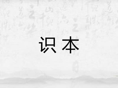 识本