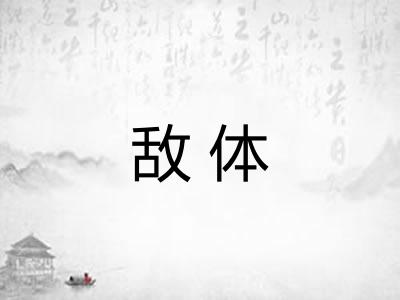 敌体