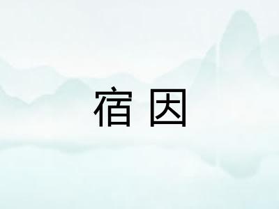 宿因