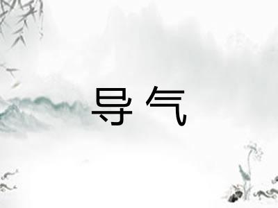 导气