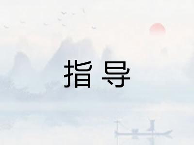 指导