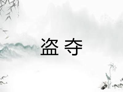 盗夺
