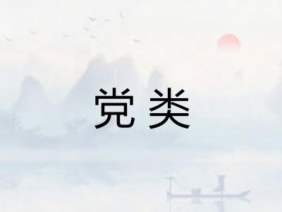 党类