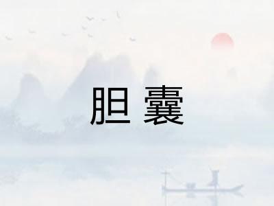 胆囊