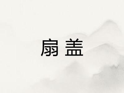 扇盖