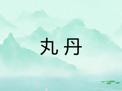 丸丹