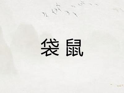 袋鼠