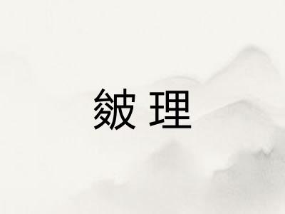 皴理