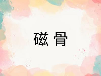 磁骨