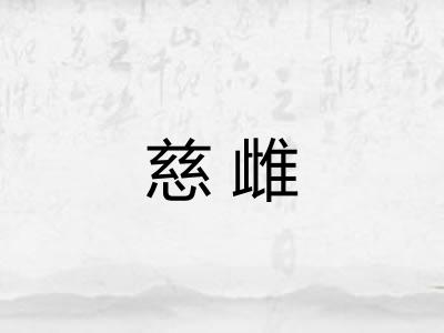 慈雌