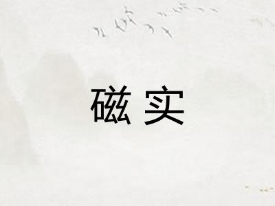磁实