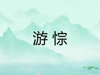 游悰
