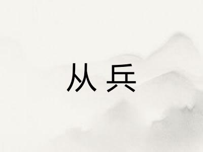 从兵