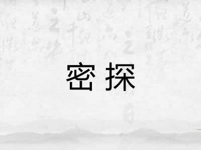 密探