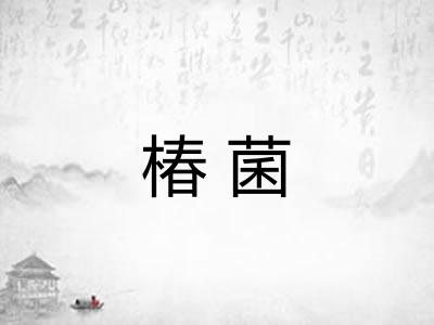 椿菌