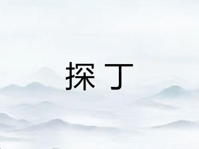 探丁