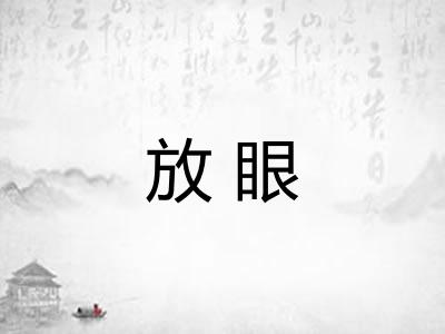 放眼