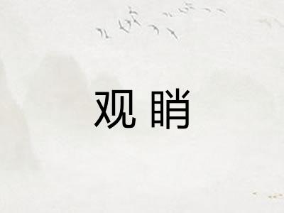 观睄