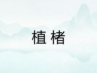 植楮