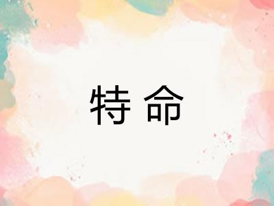 特命