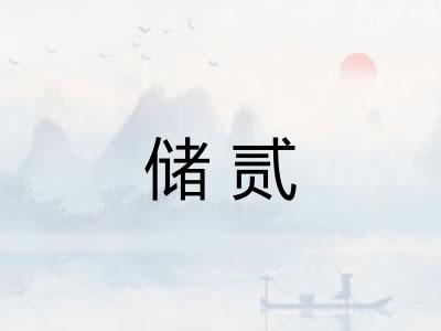 储贰