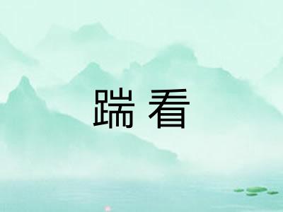 踹看