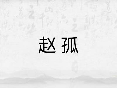 赵孤