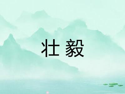 壮毅
