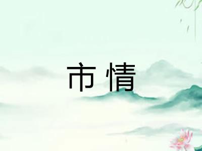市情