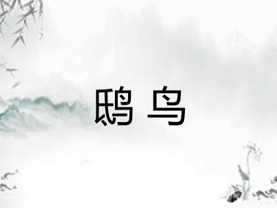 鸱鸟