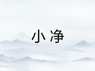 小净