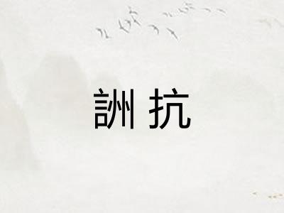 詶抗