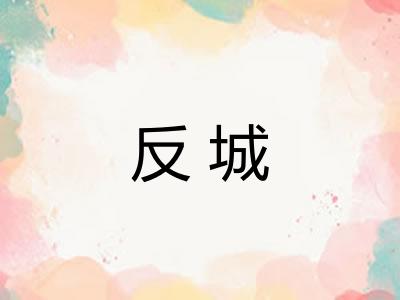 反城