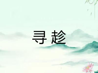寻趁