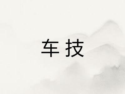 车技