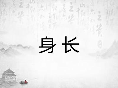 身长